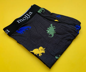 Fun dinosaur underwear for men