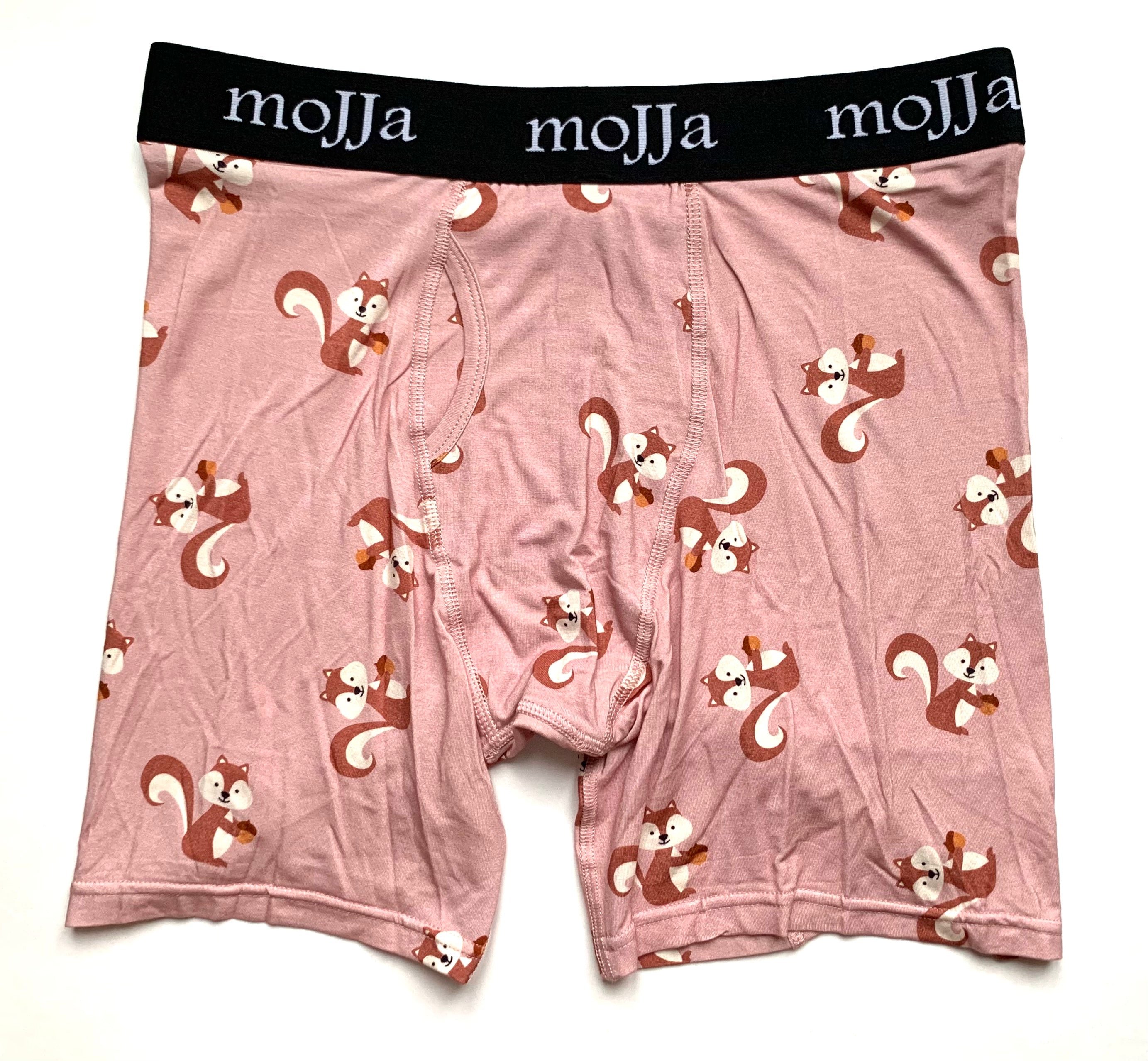 Squirrel Boxer Briefs Underwear – moJJa