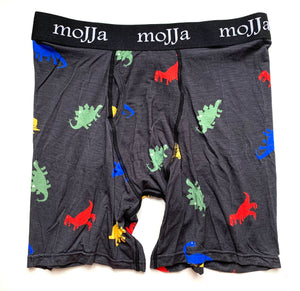 Dinosaur boxer briefs for men