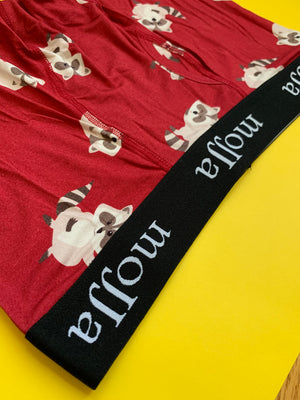 Fun raccoon Toronto boxer briefs