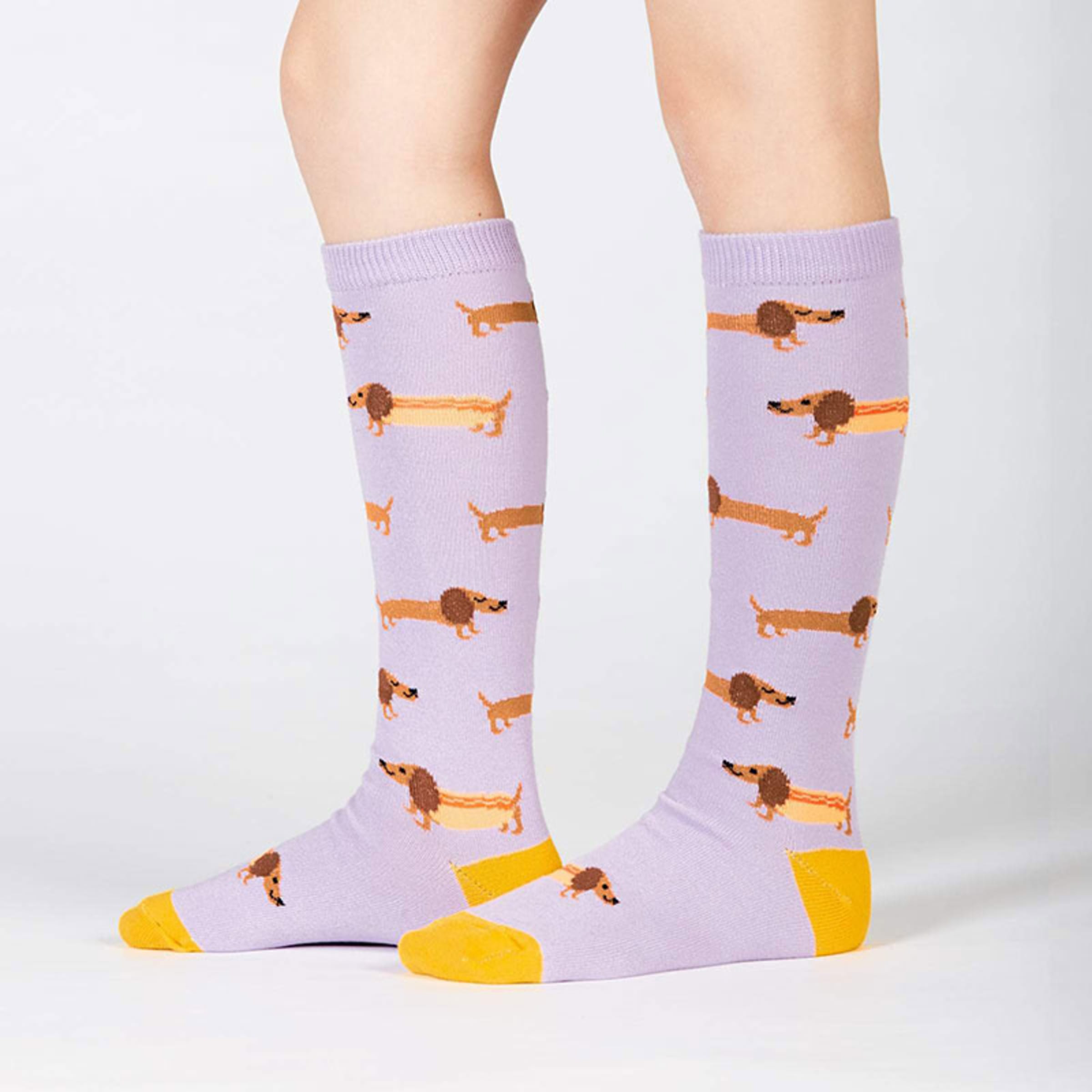 Dachshund dog knee high socks kids
