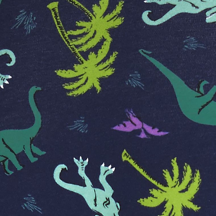 Fun dinosaur print for women panties
