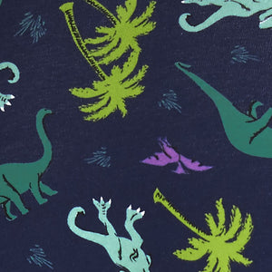 Land of dinosaur women hipster underwear