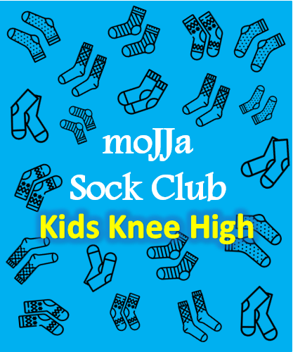 Sock of the Month Kids Knee High Subscription Club