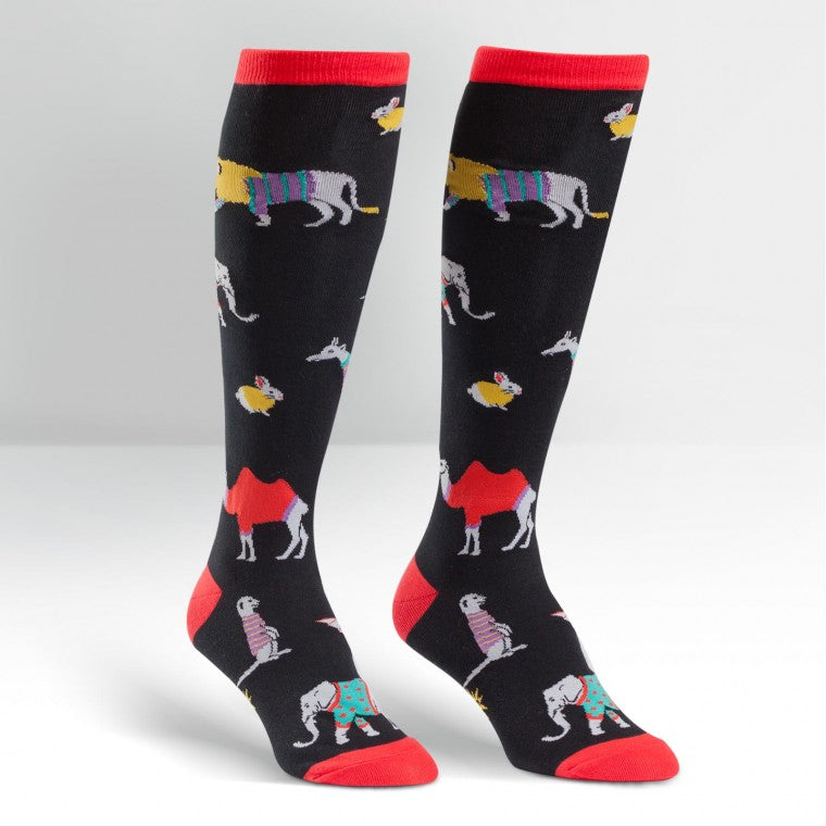 Funky Knee High Socks | Safari Sweater by Sock It To Me